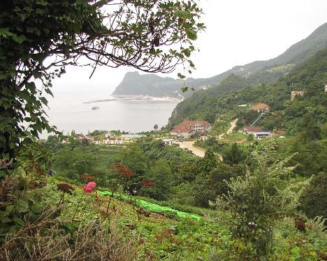 IMG_1368_Ullung_Dae_Ulleung_resort_hotel View towards the Daea Ulleung Resort Hotel