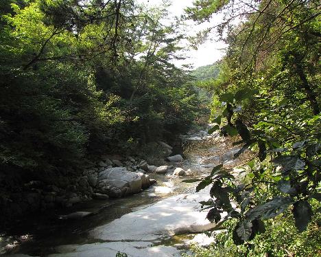 IMG_1117_Jirisan Guryong Valley Trail, Jiri-san
