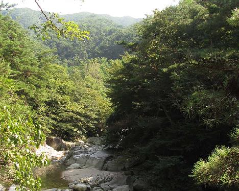 IMG_1119_Jirisan Guryong Valley Trail, Jiri-san