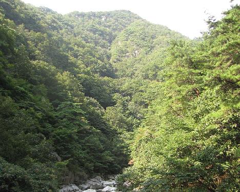 IMG_1127_Jirisan Guryong Valley Trail, Jiri-san