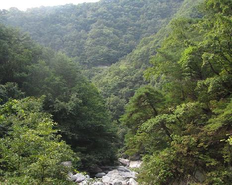 IMG_1134_Jirisan Guryong Valley Trail, Jiri-san