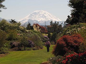 IMG_8997_Anderson_Garden_Enumclaw The Andersson Garden, Enumclaw, Washington