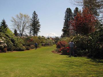 IMG_8998_Anderson_Garden_Enumclaw The Andersson Garden, Enumclaw, Washington