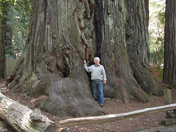 IMG_7872_Big_Basin_Redwoods_State_Park Big Basin Redwoods State Park, Boulder Creek, California