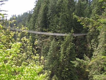 IMG_8777_Capilano_Suspension_Bridge_Park_Vancouver, Canada Capilano Suspension Bridge Park, North Vancouver, British Columbia, Canada