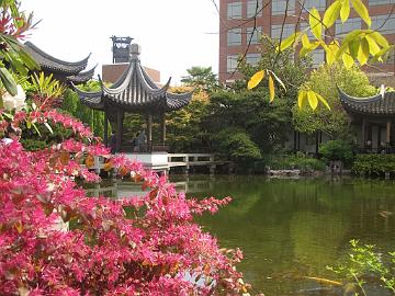 IMG_8513_Chinese_Garden_Portland Chinese Garden, Portland, Oregon