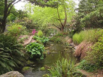 IMG_8613_Crystal_Springs_Garden Crystal Springs Rhododendron Garden, Portland, Oregon