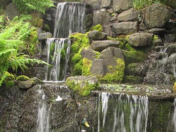 IMG_8617_Crystal_Springs_Garden Crystal Springs Rhododendron Garden, Portland, Oregon