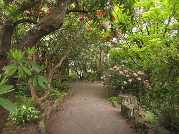 IMG_8618_Crystal_Springs_Garden Crystal Springs Rhododendron Garden, Portland, Oregon