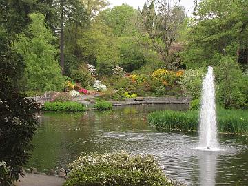 IMG_8622_Crystal_Springs_Garden Crystal Springs Rhododendron Garden, Portland, Oregon
