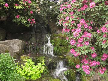 IMG_8634_Crystal_Springs_Garden Crystal Springs Rhododendron Garden, Portland, Oregon
