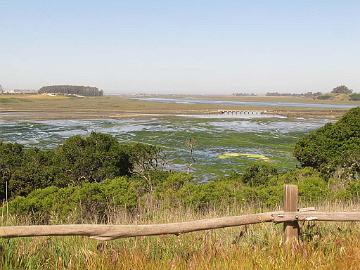 IMG_7968_Elkhorn_Slough Elkhorn Slough National Estuarine Research Reserve, Elkhorn, California