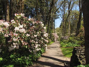 IMG_8480_Hendricks_City_Park_Eugene Hendricks City Park, Eugene, Oregon