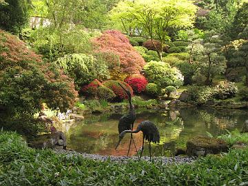 IMG_8516_Japanese_Garden_Portland Japanese Garden, Portland, Oregon