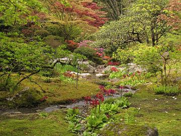 IMG_8723_Japanese_Garden_Seattle Seattle Japanese Garden, Seattle, Washington