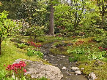 IMG_8725_Japanese_Garden_Seattle Seattle Japanese Garden, Seattle, Washington