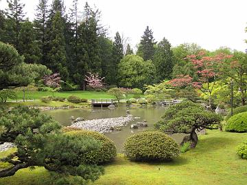 IMG_8728_Japanese_Garden_Seattle Seattle Japanese Garden, Seattle, Washington