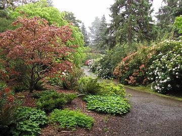 IMG_8703_Kubota_Gardens_Seattle Kubota Gardens, Seattle, Washington