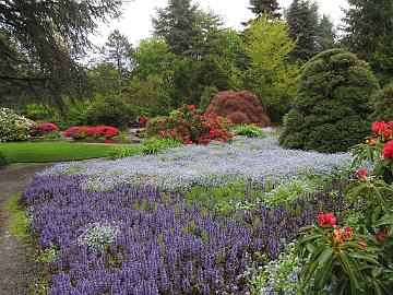 IMG_8707_Kubota_Gardens_Seattle Kubota Gardens, Seattle, Washington