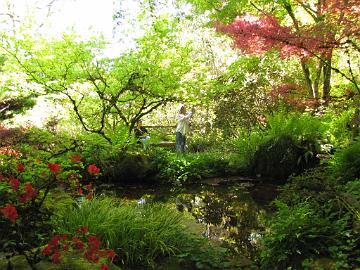 IMG_9094_Lakewold_Garden Lakewold Gardens, Lakewood, Washington