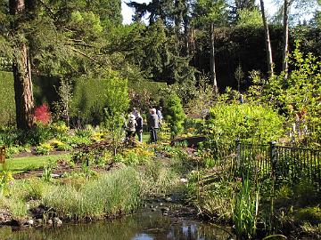 IMG_9058_Powellswood_Garden PowellsWood Garden, Federal Way, Washington