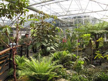 IMG_9118_Steve_Hootman_RSF_Rutherford_Conservatory Rutherford Conservatory, Rhododendron Species Foundation & Botanical Garden, Federal Way, Washington