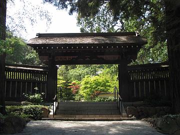 IMG_7702_Saratoga_Hakone_Gardens Hakone Japanese Garden, Saratoga, California
