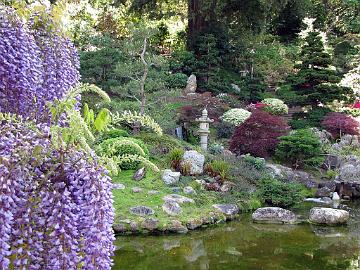 IMG_7713_Saratoga_Hakone_Gardens Hakone Japanese Garden, Saratoga, California