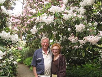 IMG_8539_Smith_Garden_St._Paul_Dick_and_Karen_Cavender Dick and Karen Cavender at Cecil & Molly Smith Garden, St. Paul, Oregon, Loderi group rhododendrons in the background