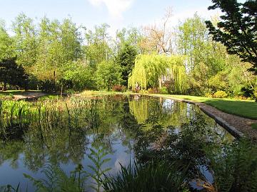 IMG_9037_Soos_Creek_Botanical_Garden Soos Creek Botanical Garden and Heritage Center, Auburn, Washington