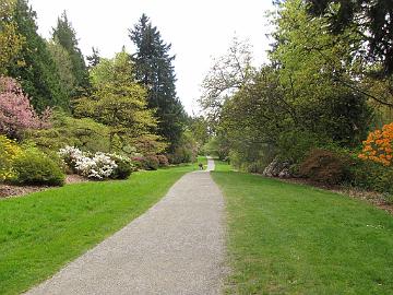 IMG_8738_Washington_Park_Arboretum_Seattle Washington Park Arboretum, Seattle, Washington