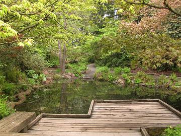 IMG_8739_Washington_Park_Arboretum_Seattle Washington Park Arboretum, Seattle, Washington