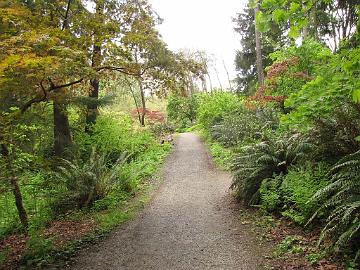 IMG_8740_Washington_Park_Arboretum_Seattle Washington Park Arboretum, Seattle, Washington