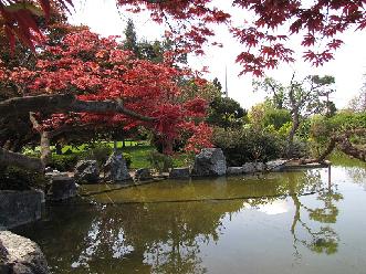 San Jose Japanese Garden 130415