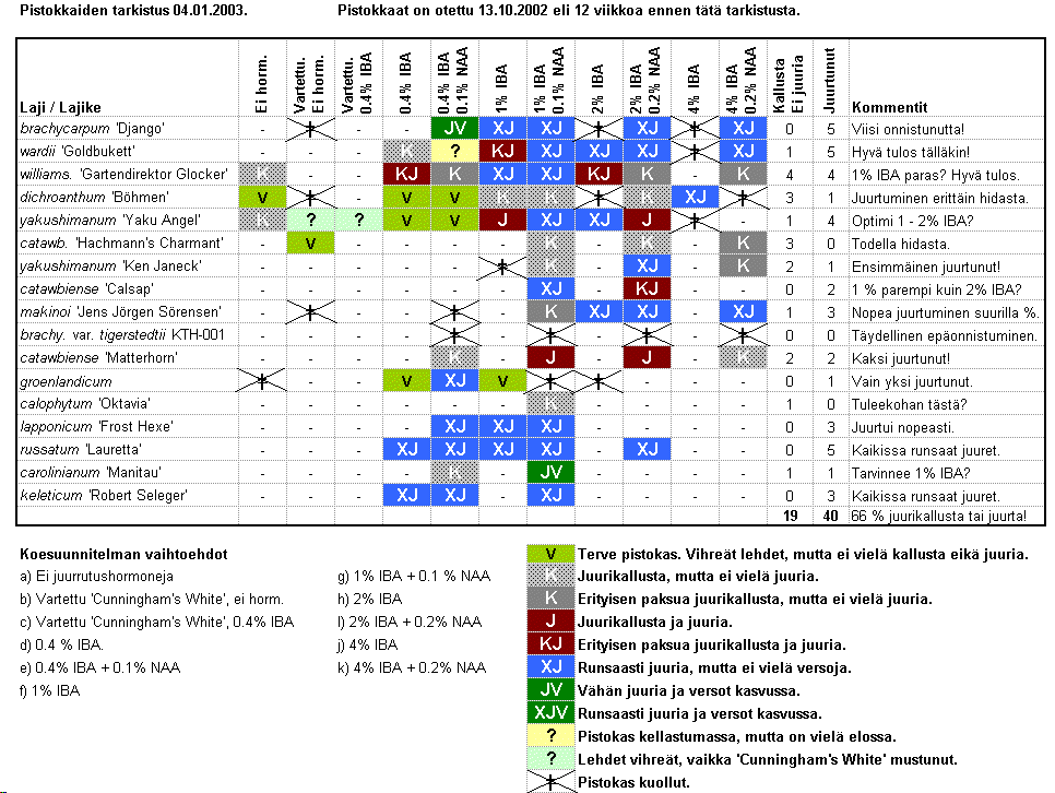 Pistokkaiden juurtumistuloksia