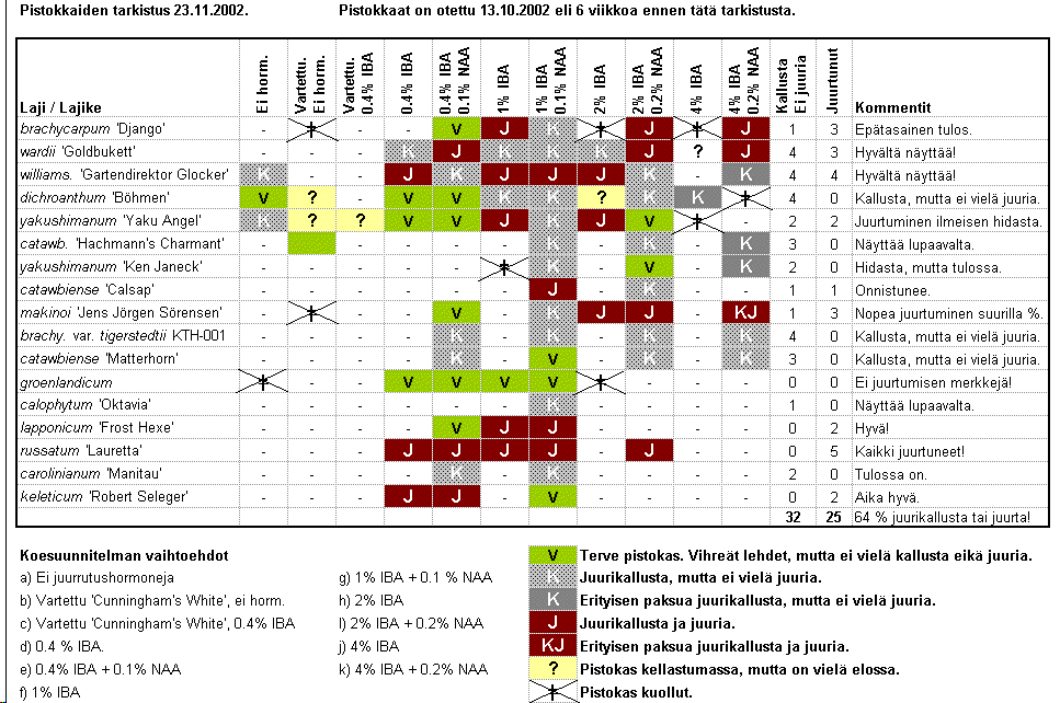 Pistokkaiden juurtumistulokset