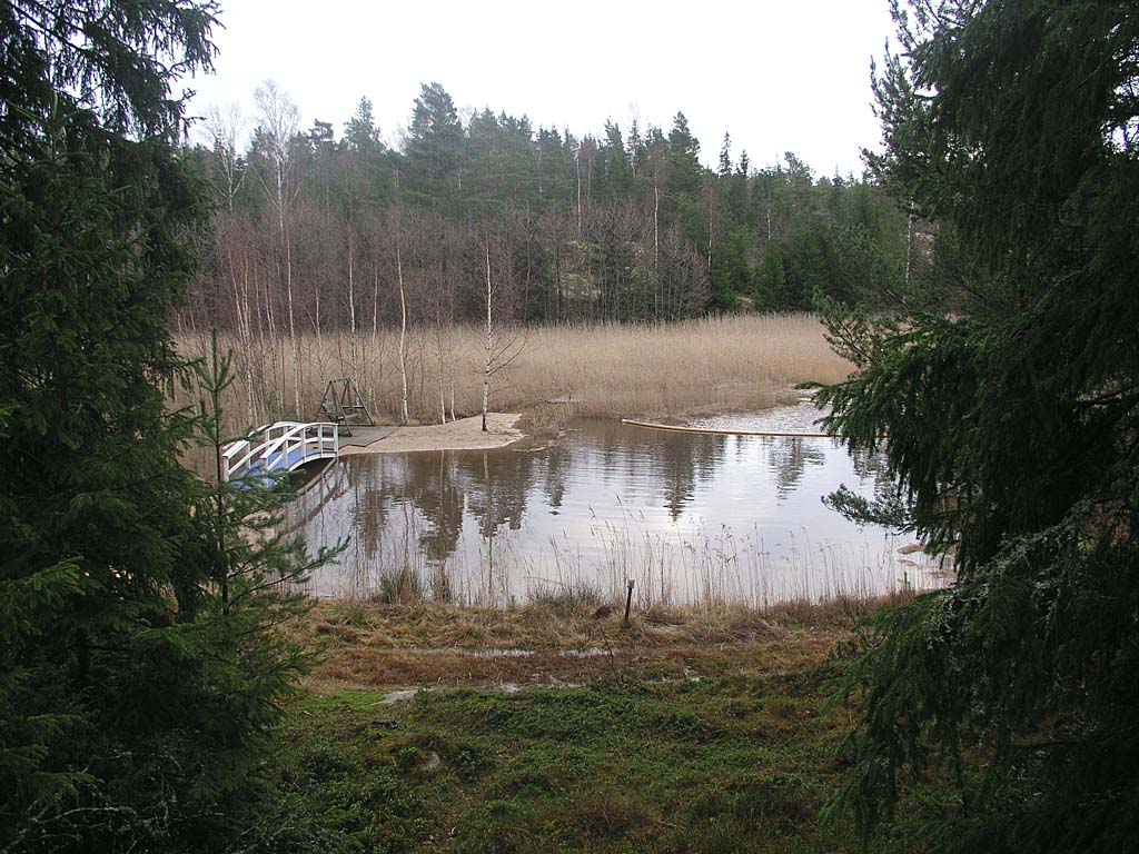 PC081620_uimaranta_vesi_korkealla.jpg - Nkym hiekkarannalle kuusten lomasta. A view to the small sand beach.