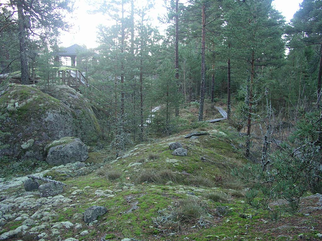 PC081636_sammalta_kalliolla.jpg - Näkymä sammaleiselta kalliolta metsäpuutarhaan päin. A view from mossy rock towards the forest garden.