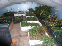 Insulated area in the green house