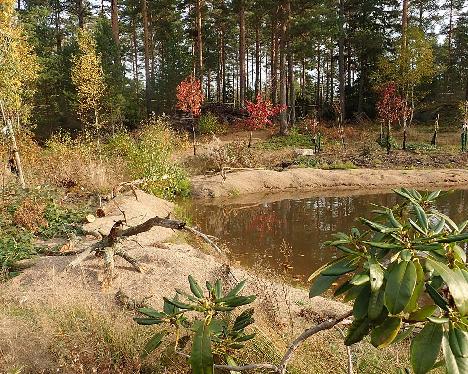 PA061641_rhodo_lammen_pohjoispaassa_1024px North end of the pond in the Rhodogarden arboretum - October 6, 2021